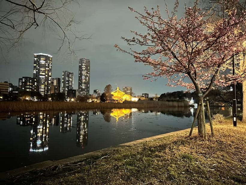 Tokyo: Akihabara, Shibuya, Karaoke & City Lights Night Tour - Karaoke in a private room, the evening’s social payoff