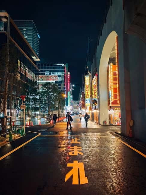 Tokyo: Akihabara, Shibuya, Karaoke & City Lights Night Tour - What the price includes at $79