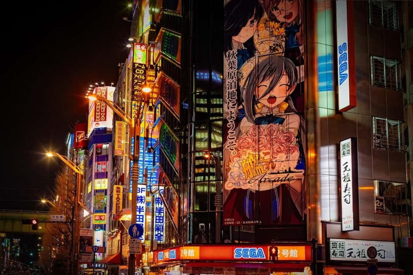 Tokyo: Akihabara, Shibuya, Karaoke & City Lights Night Tour - Pace, transport, and practical comfort