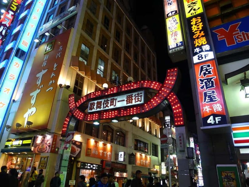 Tokyo: Akihabara, Shibuya, Karaoke & City Lights Night Tour - Should you book it?