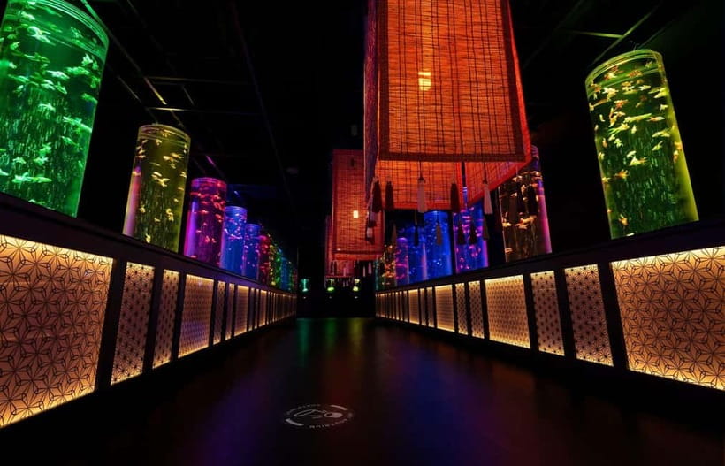 Tokyo: Art Aquarium Museum GINZA Entry Ticket - Why the goldfish displays work