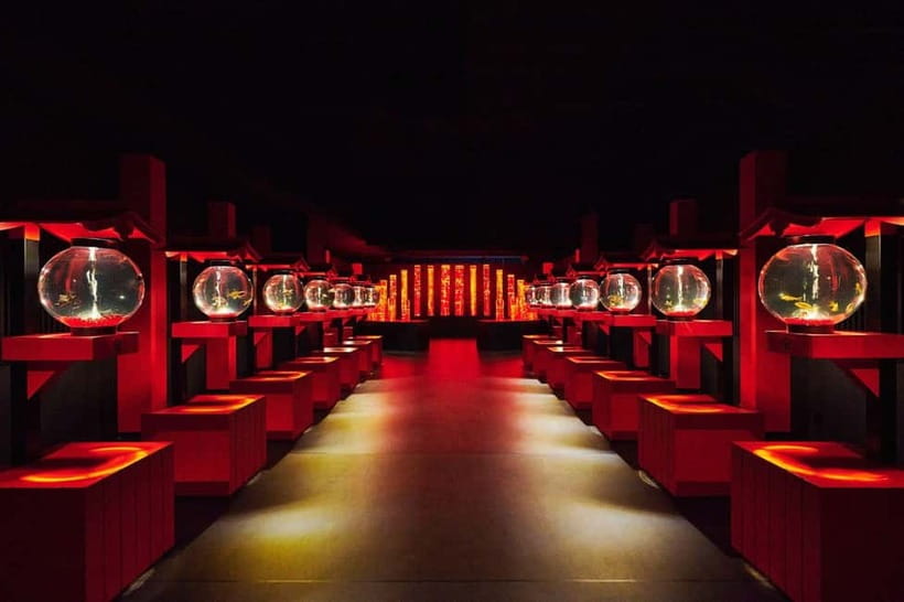 Tokyo: Art Aquarium Museum GINZA Entry Ticket - Is $17 a fair price?