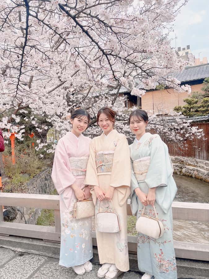 Tokyo Asakusa: Traditional Kimono Rental Experience at Wargo - Choosing between classic and modern designs