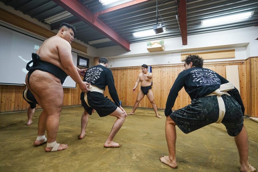 Tokyo: Authentic Sumo Wrestling Experience with Lunch - Watching practice from the edge of the ring