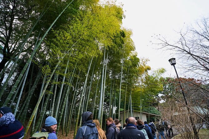 Tokyo Castle & Imperial PalaceーShogun Walking Tour - Why Edo Castle makes a good Tokyo history walk