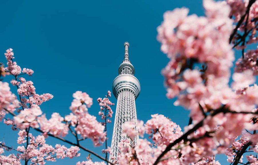 Tokyo: Customizable Day Trip Within Tokyo & English-Driver - Tokyo Tower, Rainbow Bridge, and evening choices