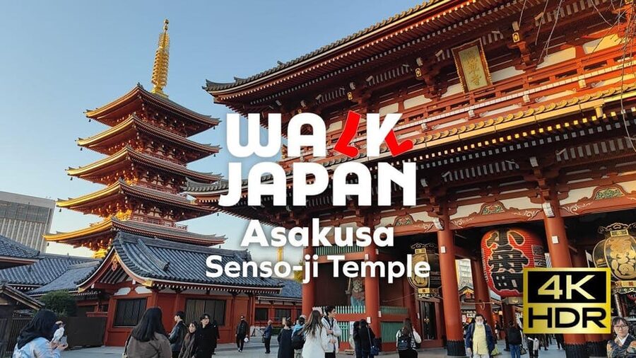 Tokyo: Customizable Day Trip Within Tokyo & English-Driver - Starting in Asakusa at Nakamise Street and Senso-ji