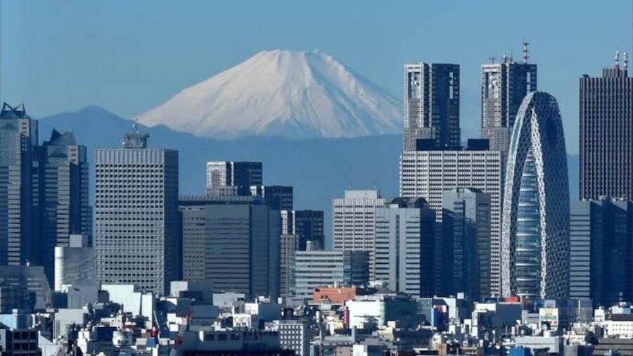 Tokyo: Customizable Private Guided Walking Tour - Key points at a glance