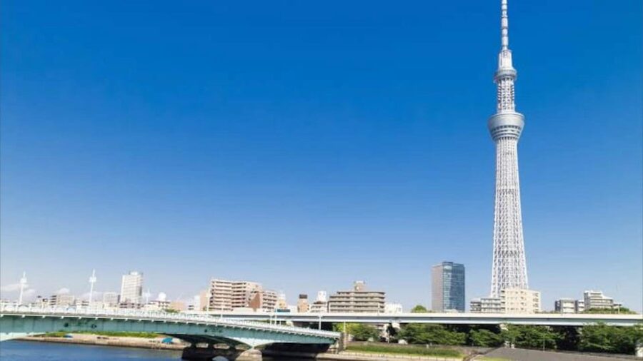 Tokyo: Customizable Private Guided Walking Tour - Alleys, local shops, and the Tokyo beneath the postcard