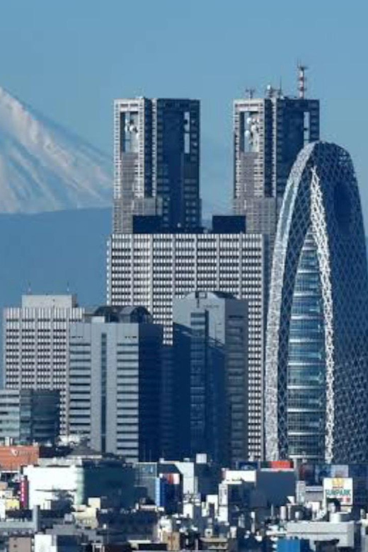 Tokyo: Customizable Private Guided Walking Tour - Is $87 good value for four hours?