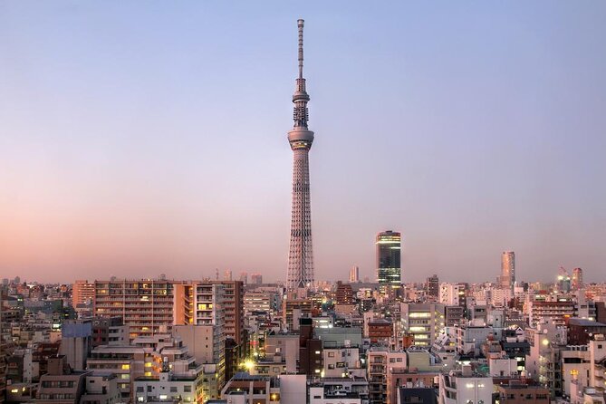 Tokyo Customized Private Tour: See Top Attractions in 1 Day - Key Points Before You Book