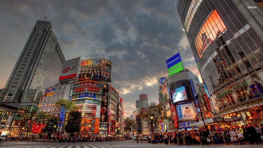 Tokyo: Customized Private Tour with a Local Guide - Why a custom Tokyo tour can make sense
