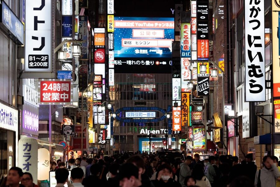 Tokyo: Dark Side of Tokyo Shinjuku Red Light Walking Tour - Kabukicho and the public face of Tokyo nightlife