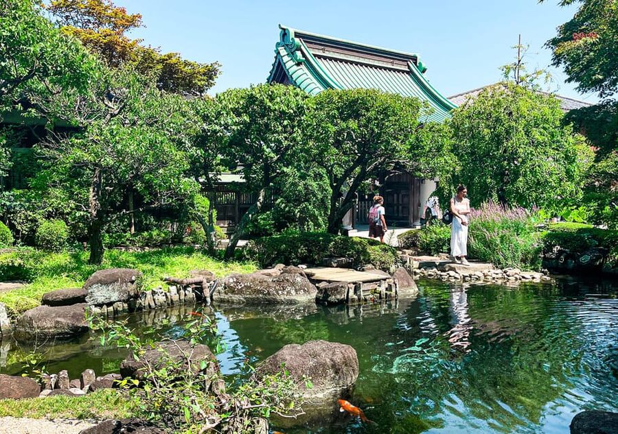 Tokyo: Day Trip to Kamakura in Spanish - Spanish - Kamakura’s main street, lunch, and time to browse