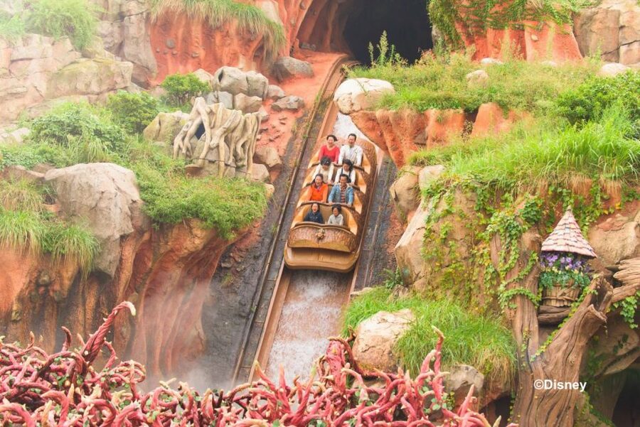 Tokyo Disneyland 1-Day Passport - Food, churros, and the Queen of Hearts meal