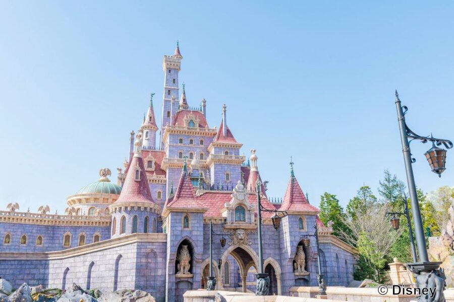 Tokyo Disneyland 1-Day Passport - Weather, comfort, and accessibility