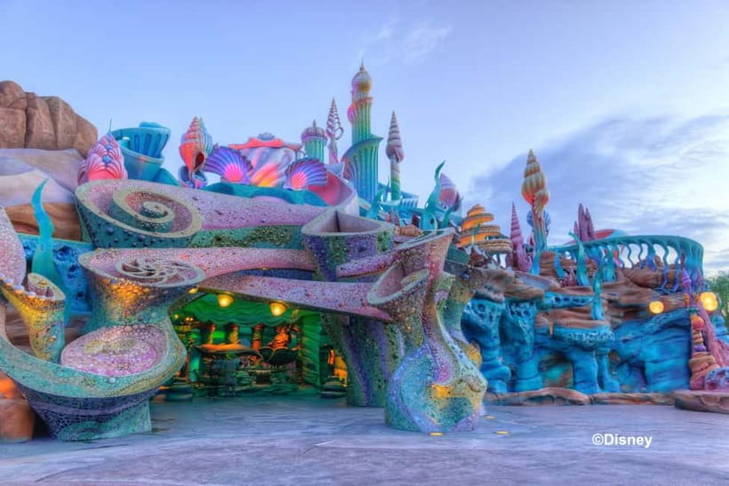Tokyo: DisneySea 1-Day Passport - Entering with the mobile passport