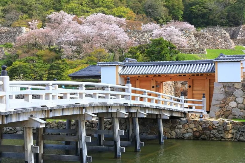 Tokyo: Edo Castle & East Garden of the Imperial Palace Tour - Is $42 a fair price?