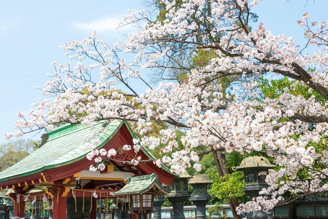 Tokyo: Food Tour in Ueno with 10+ Tastings of Japanese Classics - Eating beneath the elevated railway