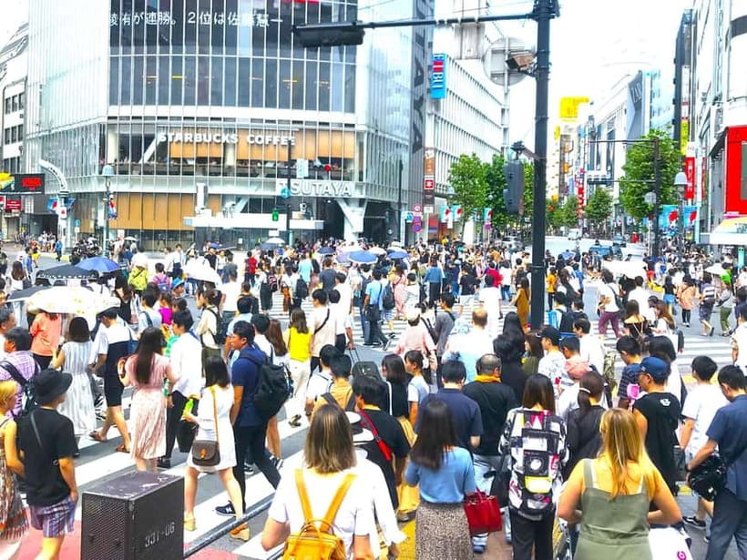 Tokyo: Full Course Tour: Explore 15 Must-Sees & Hidden Gems - Imperial Palace, Marunouchi, and Tokyo Station