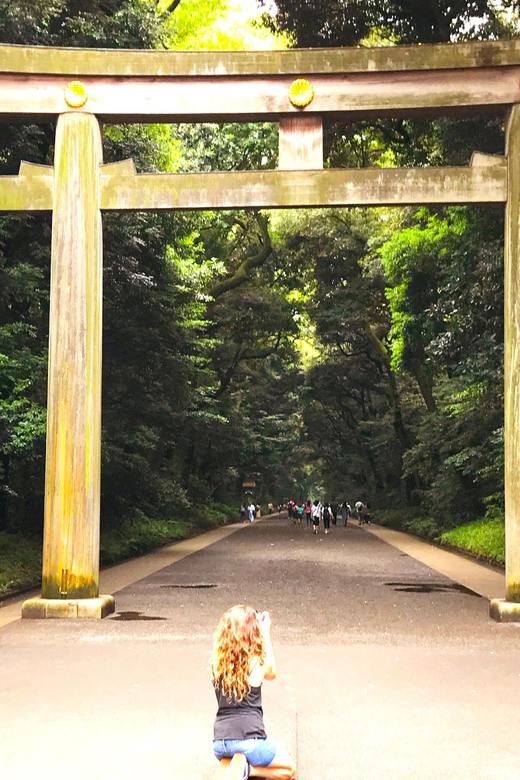 Tokyo: Full Course Tour: Explore 15 Must-Sees & Hidden Gems - Ameyoko and old Asakusa