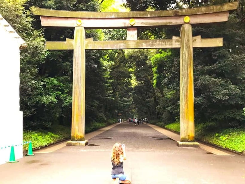 Tokyo: Full Course Tour: Explore 15 Must-Sees & Hidden Gems - Yoyogi, Meiji Shrine, and Harajuku in the morning