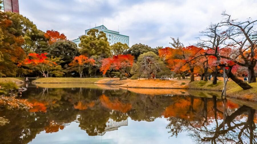 Tokyo: Full-Day Japanese Garden Private Guided Tour - Meiji-Jingu Shrine and a quieter pond garden