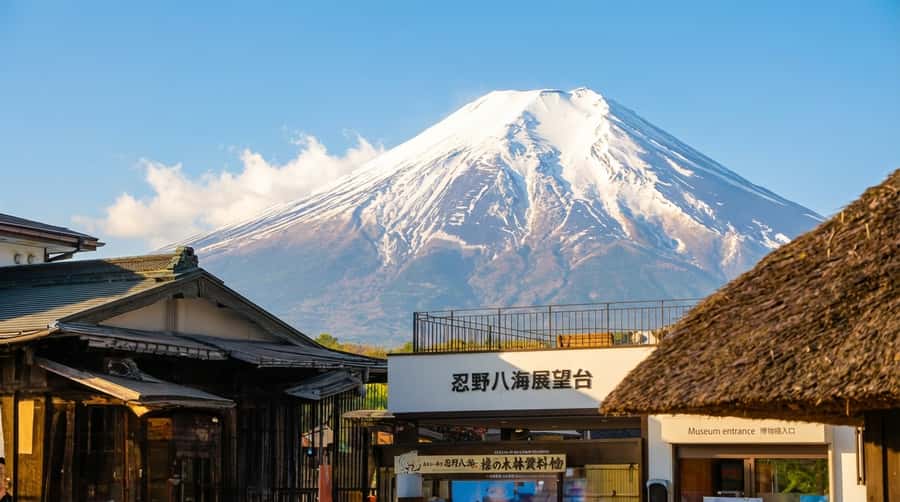 Tokyo: Full-Day Tour of the Six Majestic Spots of Mt Fuji - Key things to know before booking