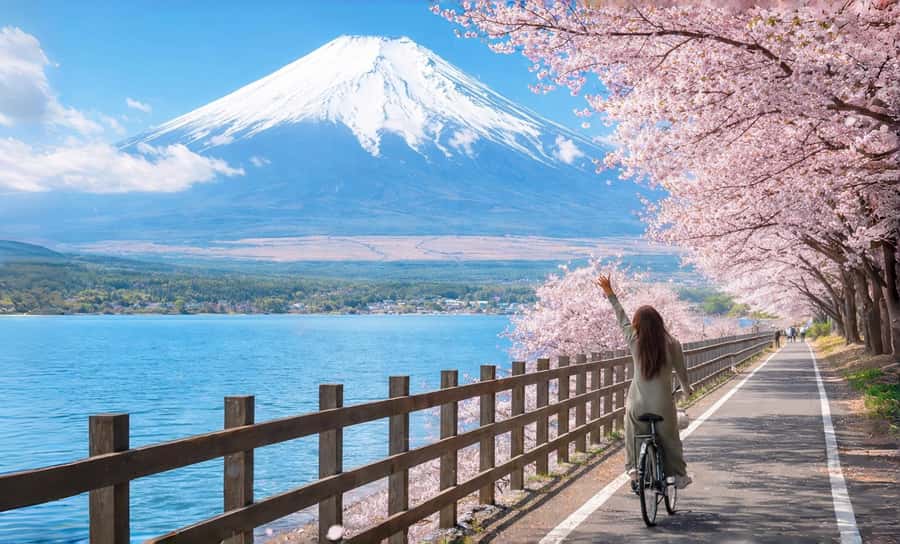 Tokyo: Full-Day Tour of the Six Majestic Spots of Mt Fuji - Higashikawa Clock Shop and the Sky Ladder street