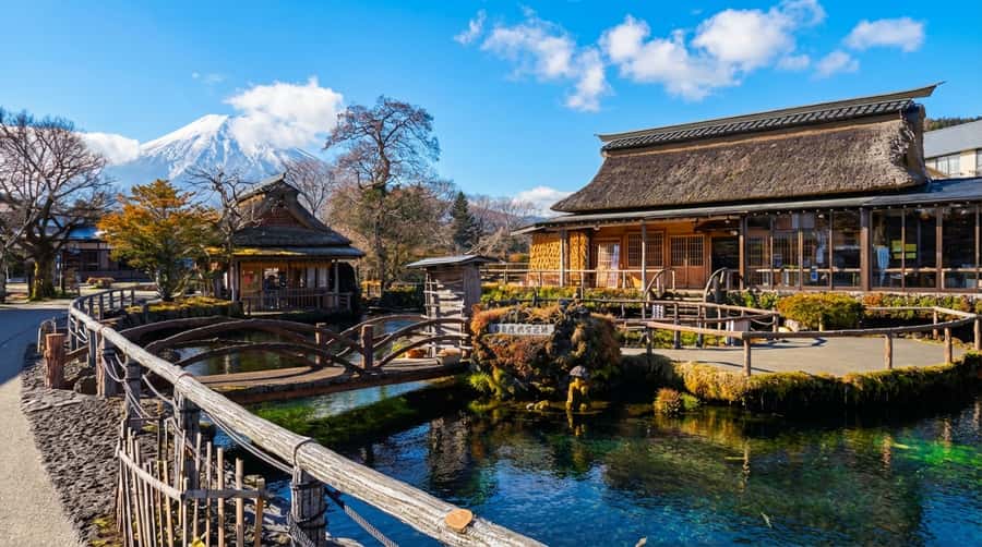 Tokyo: Full-Day Tour of the Six Majestic Spots of Mt Fuji - Oshino Hakkai, eight springs in a traditional village