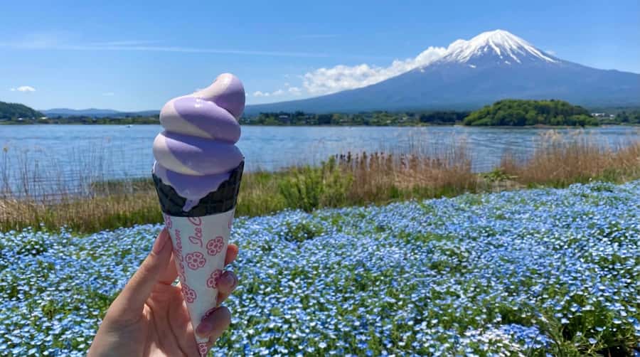 Tokyo: Full-Day Tour of the Six Majestic Spots of Mt Fuji - Fuji weather, traffic, and the value of the $45 price