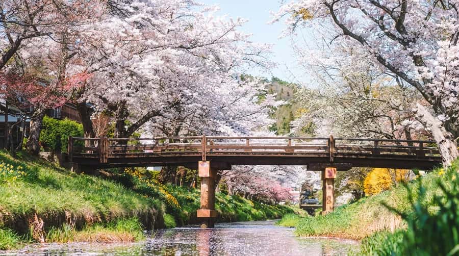 Tokyo: Full-Day Tour of the Six Majestic Spots of Mt Fuji - What the guiding and bus experience are really like