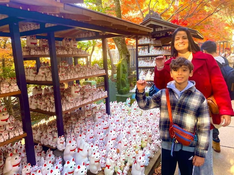 Tokyo: Gotokuji Cat Temple, Shinjuku Cat Cafe & 3D Cat Tour - Starting beside Shinjuku’s giant 3D cat