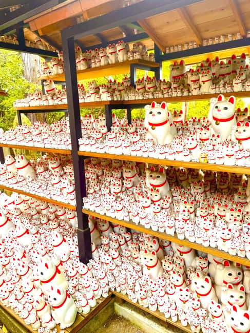 Tokyo: Gotokuji Cat Temple, Shinjuku Cat Cafe & 3D Cat Tour - The 25-minute train ride to Gotokuji