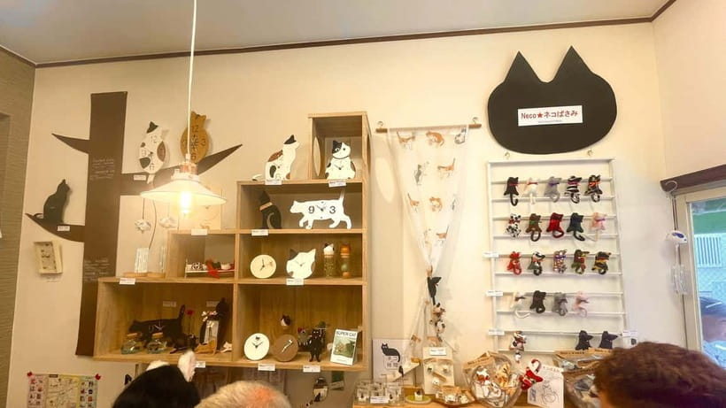 Tokyo: Gotokuji Cat Temple, Shinjuku Cat Cafe & 3D Cat Tour - Understanding the lucky cats at Gotokuji Temple