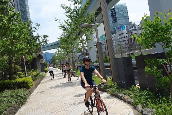 Tokyo Guided Small-Group Biking Tour - Why This Six-and-a-Half-Hour Ride Works