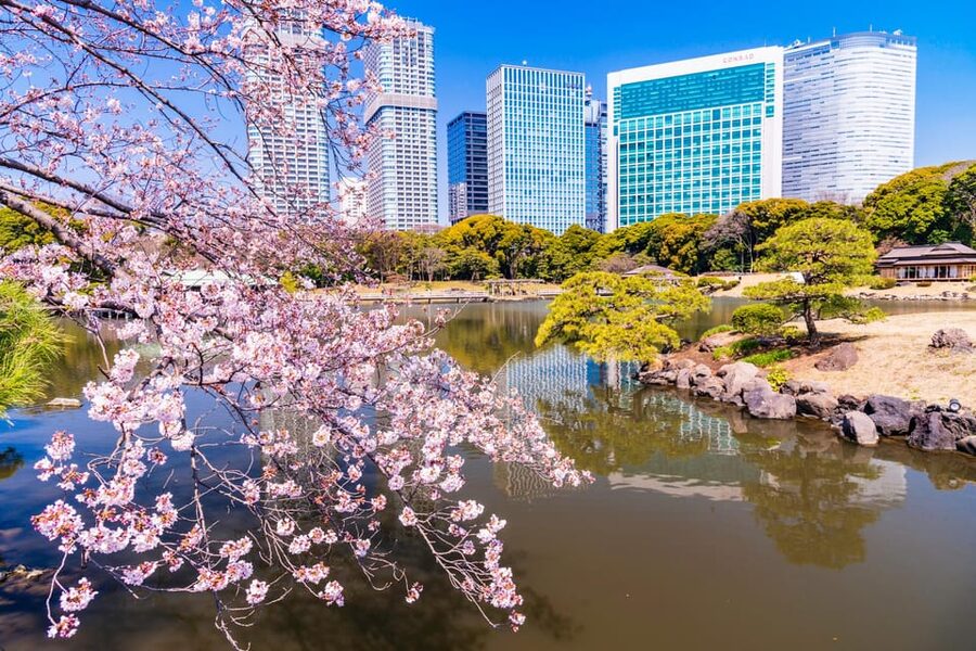 Tokyo: Hama-rikyu Gardens tour with Japanese Tea & Sweets - Meeting at Otemon Bridge and starting the walk