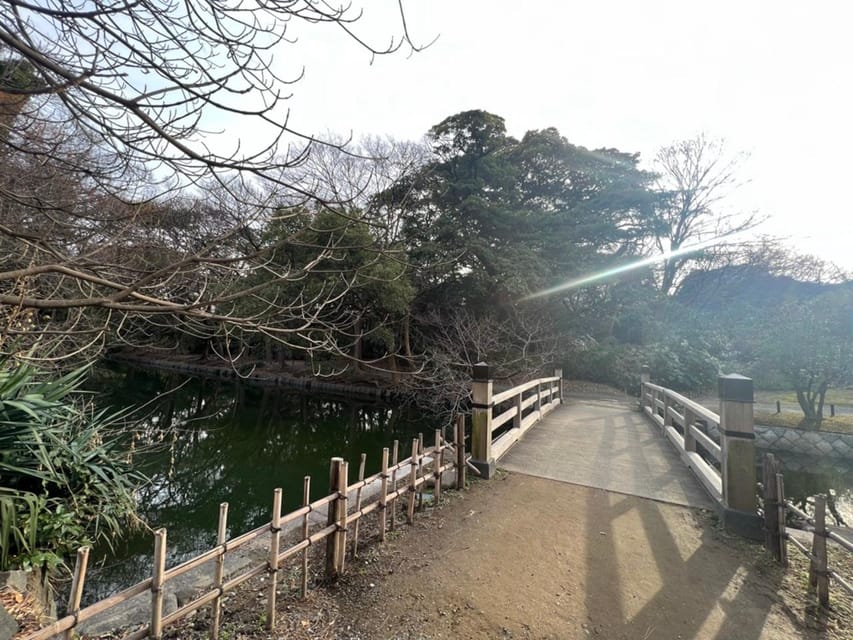 Tokyo: Hama-rikyu Gardens tour with Japanese Tea & Sweets - Matcha, wagashi, and an hour in the tea room