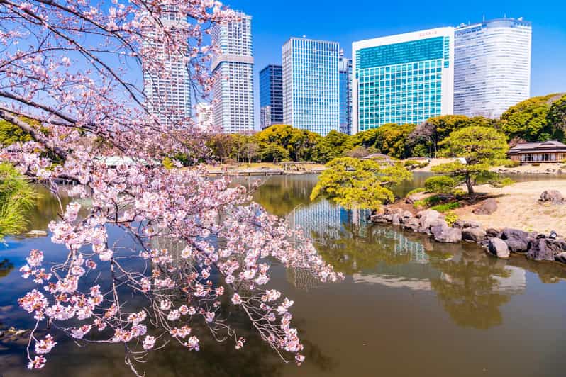 Tokyo: Hama-rikyu Gardens tour with Japanese Tea & Sweets - How the guides shape the experience