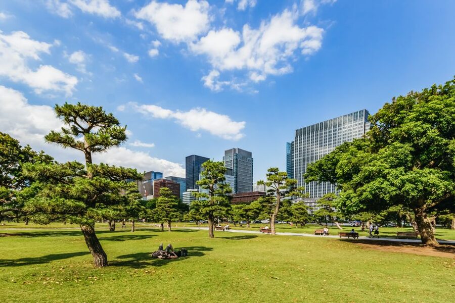 Tokyo: Hop-On Hop-Off Sightseeing Bus Ticket - How the three routes fit into one or two days