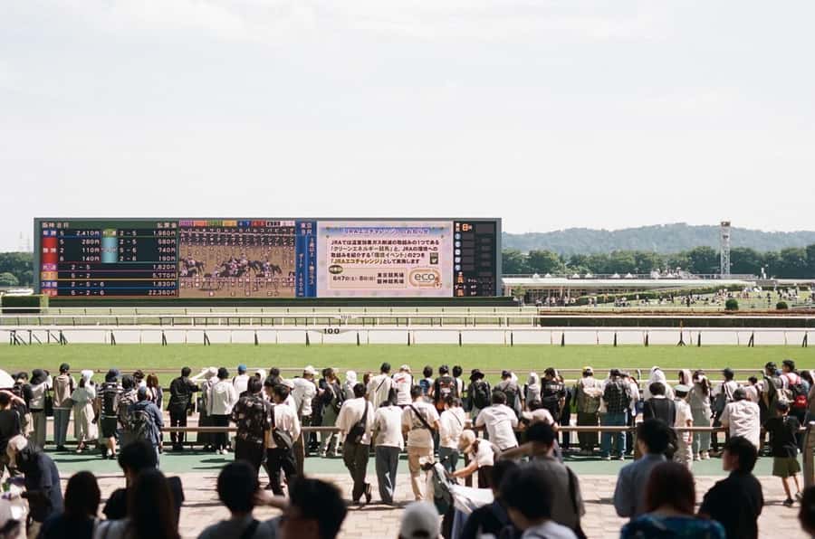 Tokyo: Horse Racing Tour with Local Fan - Choosing between Tokyo, Nakayama, Oi, and Kawasaki