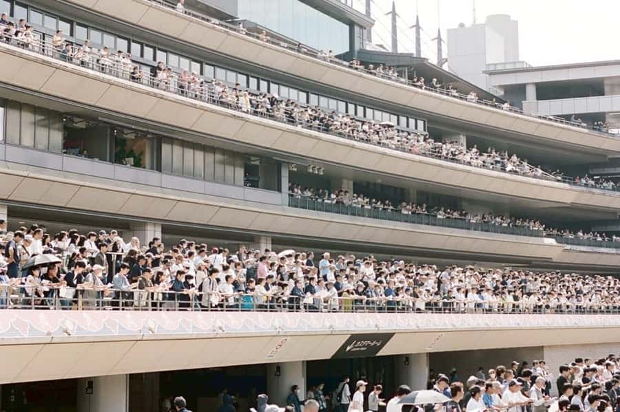 Tokyo: Horse Racing Tour with Local Fan - What the $60 price really covers