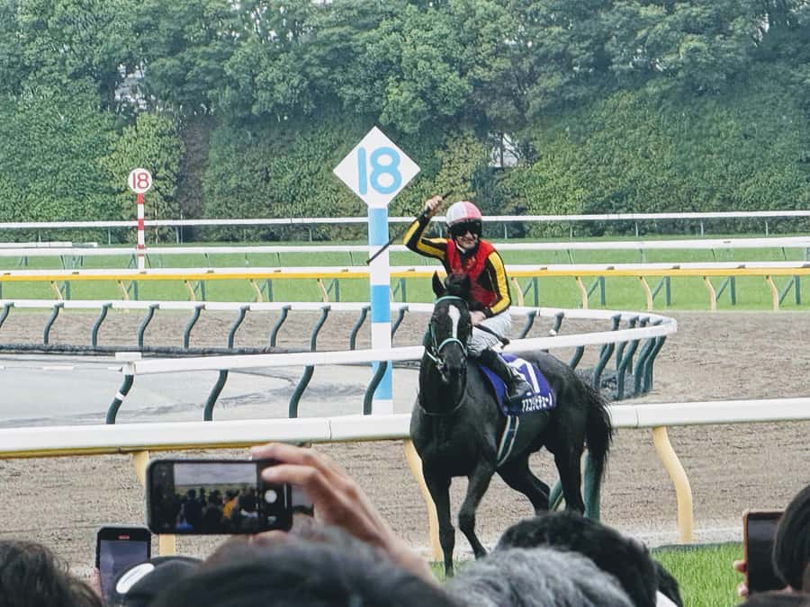 Tokyo: Horse Racing Tour with Local Fan - Meeting Eito before the first race