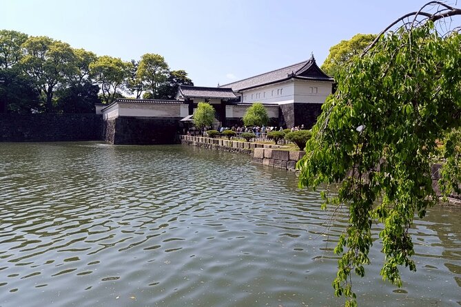 Tokyo: Imperial Palace and Shogun Historical Walking Tour - Small-group size, walking pace, and comfort