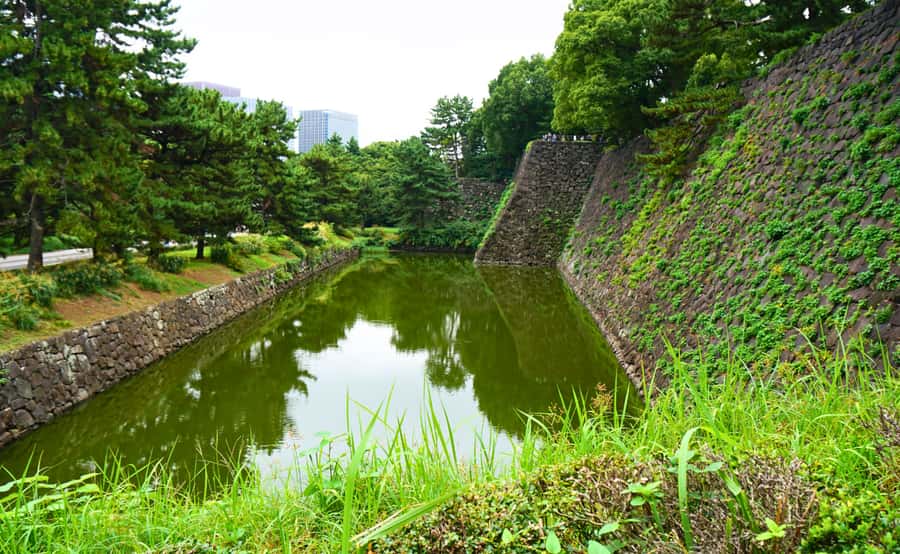Tokyo: Imperial Palace Japanese History Walking Tour - How the $32 price works for you