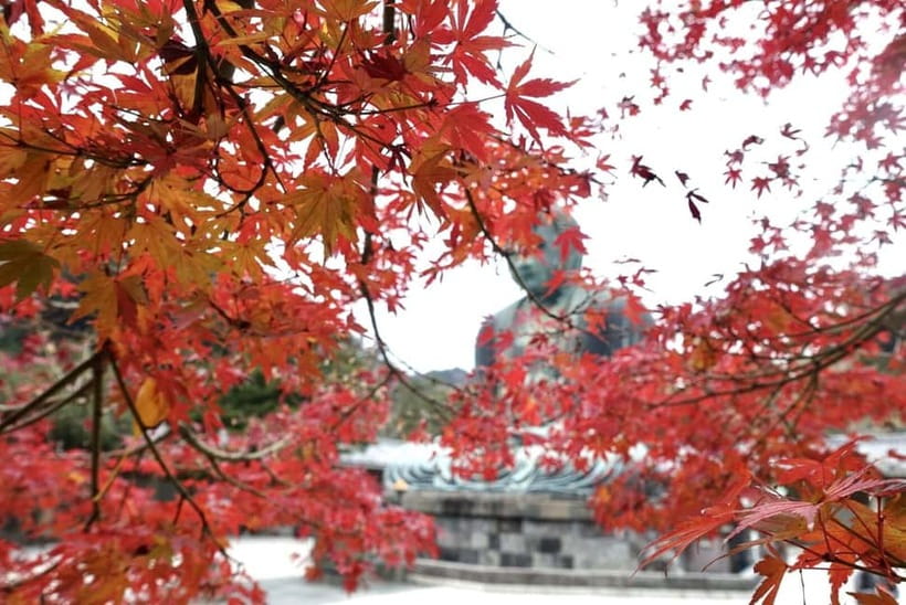 Tokyo: Kamakura & Enoshima Day Trip including Temple Tickets - How the transport and guide setup affects your day
