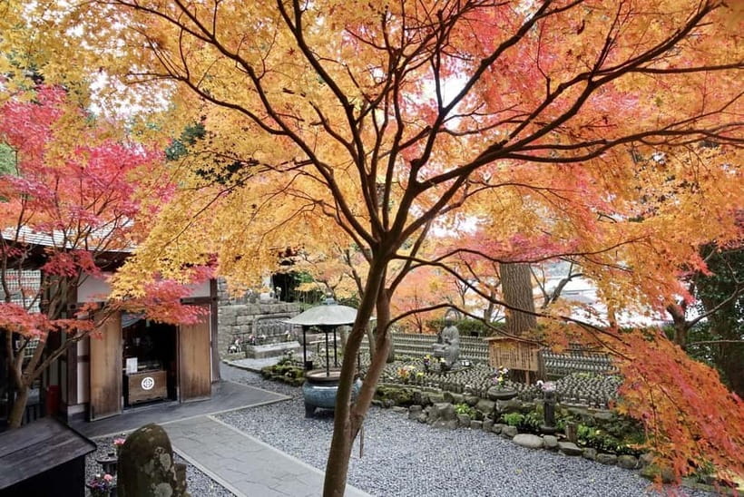 Tokyo: Kamakura & Enoshima Day Trip including Temple Tickets - Why this Tokyo day trip works