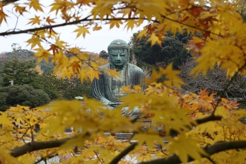 Tokyo: Kamakura & Enoshima Day Trip including Temple Tickets - Hasedera combines flowers, views, and small details