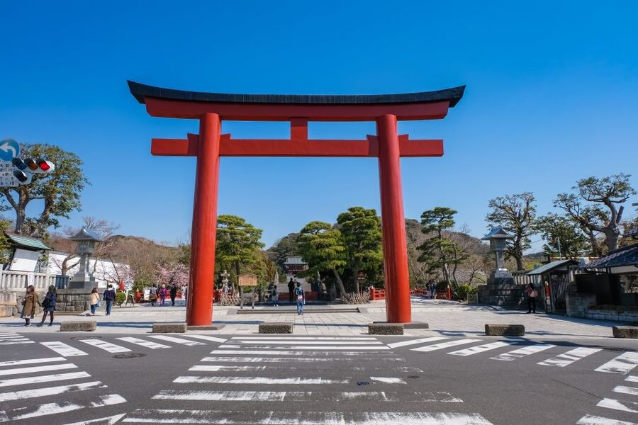 Tokyo: Kamakura & Enoshima Day Trip including Temple Tickets - Enoshima Shrine and Iwaya Caves need a plan