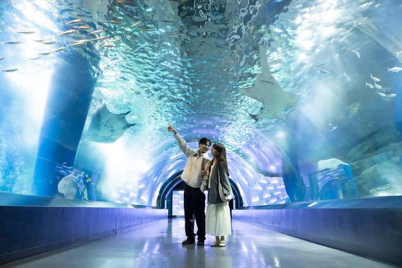Tokyo: Maxell Aqua Park Shinagawa Direct Entry Ticket - The rare animals worth seeking out